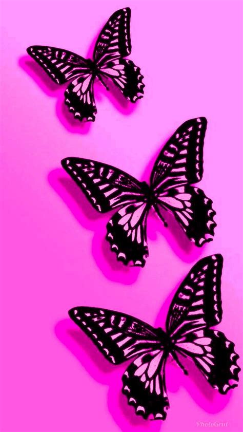 Pin By Nicole Budka On Butterfly Wallpaper Butterfly