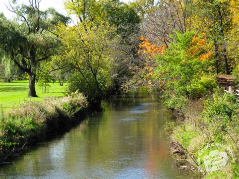 Free Flowing Creek Photo Lush River Bank Picture Autumn Panorama