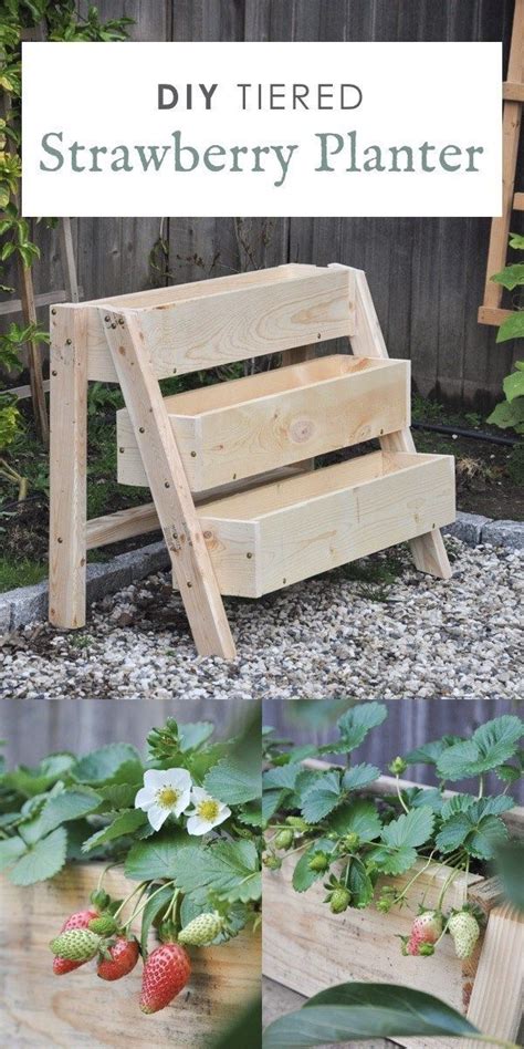 Maybe you would like to learn more about one of these? DIY Tiered Strawberry Planter | Strawberry planters diy ...