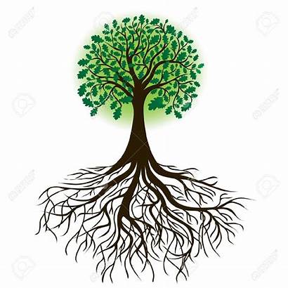 Tree Bulb Education Clipart Roots Clipground Rubric
