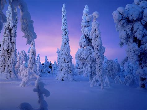 Lapland Pictures Photo Gallery Of Lapland High Quality