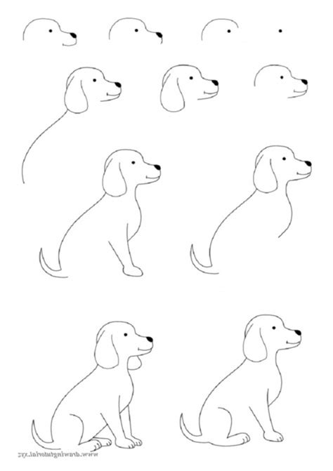 How To Draw Easy Animals Step By Step Image Guides Bored Art Easy