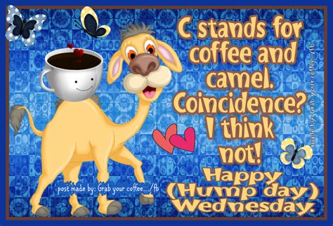 C Stands For Coffee And Camel Coincidence I Think Not Happy Hump Day