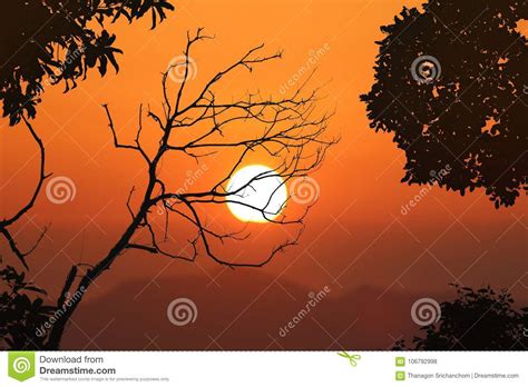Leafless Trees And Red Sky Sunset Background Stock Photo Image Of