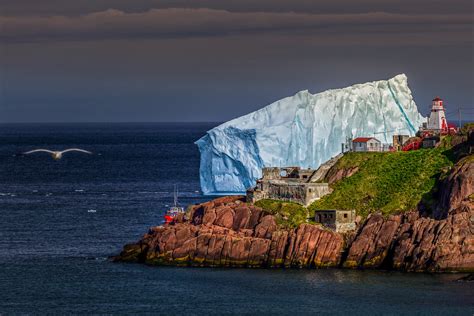 Massive Icebergs In Newfoundland And Labrador Watch