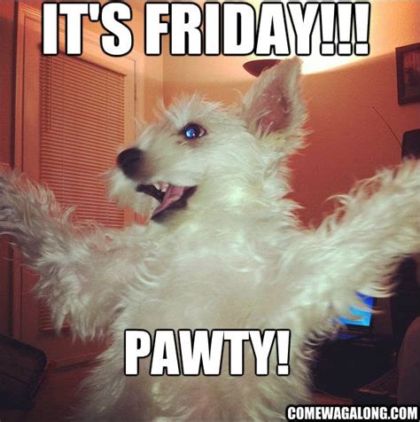 T Happy Friday Come Wag Along