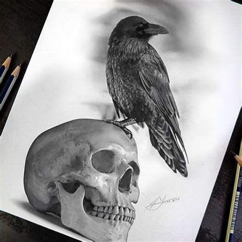 The Raven And The Skull Pencil Drawing By Julio Lucas On Behance