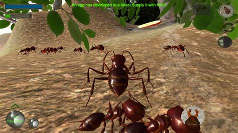 Ant Simulation Apk For Android Download