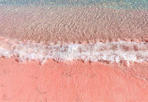Best Pink Sand Beaches In Italy And Around The World