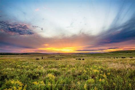 Great Plains Photography Print Picture Of Scenic Sunset Over Tallgrass