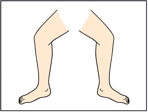 Leg Parts Of The Body Flashcards Learningenglish Esl Clipart Image 30853