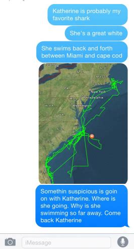 These tags are attached to the shark's dorsal fin and send a signal every time the fin breaks the surface. what is this shark tracker app - senshiofthewild