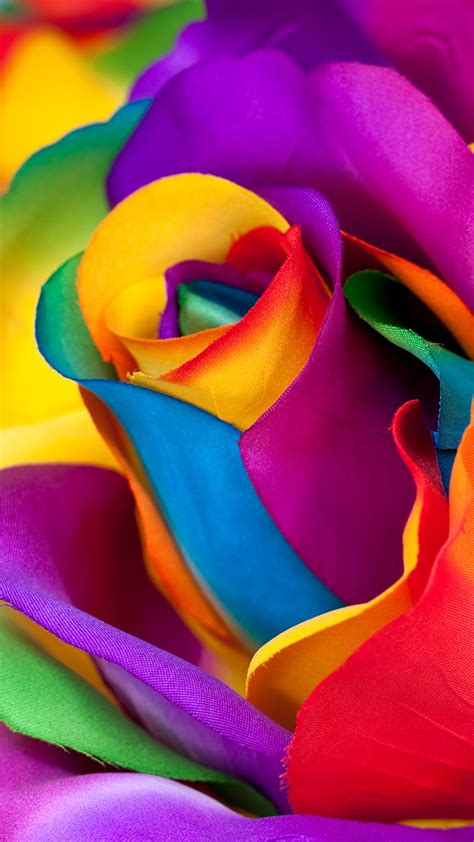 [47+] Multicolor Flower Mobile Wallpapers on WallpaperSafari