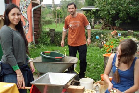 Tierschutz katze kaufen und adoptieren Freundin für unsere Tochter | Amigos de la Cultura e.V.