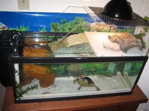 涓 PK10瀹 圭 绔 涓 PK10瀹 圭 绔 瀹 缃 Turtle tank Turtle pond Turtle habitat
