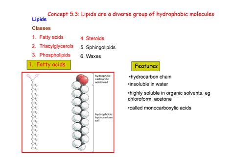 Lipidss Lecture Lipids Classes Fatty Acids Triacylglycerols