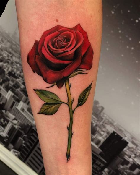 Rose Stem Tattoo Coloured Rose Tattoo Rose Drawing Tattoo Blue Rose