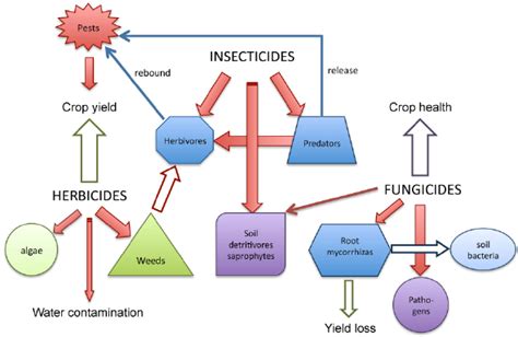Diagram Showing The Main Impacts Of Pesticides On Soil Plant And