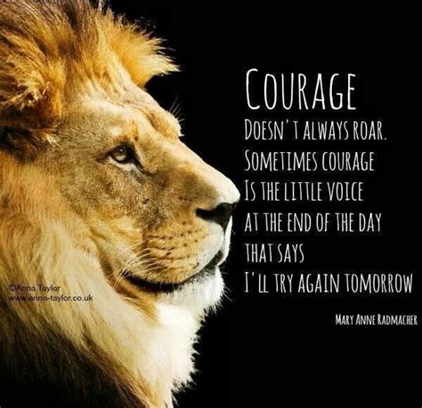 Here are our life lessons quotes for you. Quotes About Courage And Lions. QuotesGram