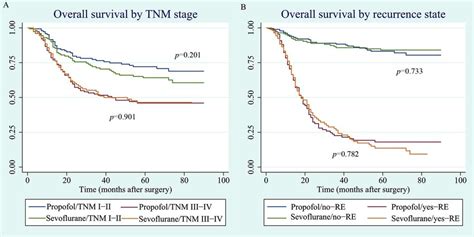 A Overall Survival Curve By Tnm Stage Tnm Tumor Node Metastasis