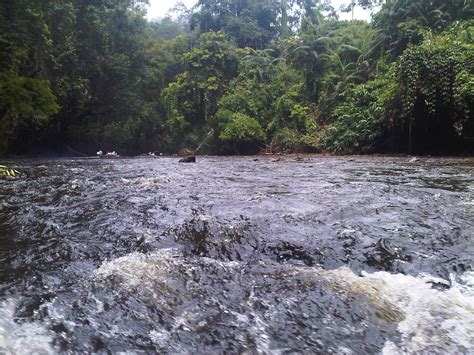 Mengapa ikan yang panjangnya bisa mencapai empat meter ini begitu ditakutkan kehadirannya? WZWH: Tengku Muda Pahang Bermain Ikan Kelah Sungai Tahan