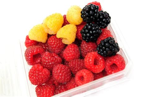 Assorted Berries Stock Image Image Of Delicious Calorie 11351753