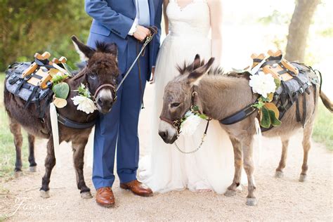 pecan springs ranch wedding bride and groom beer burros austin texas wedding ranch