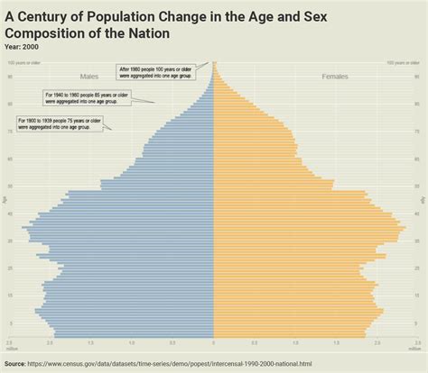 Population Pyramid Data Visualization Standards