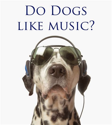What Songs Do Dogs Like To Hear