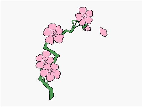 Maybe you would like to learn more about one of these? How To Draw Cherry Blossoms - Cherry Blossom Drawing Easy ...