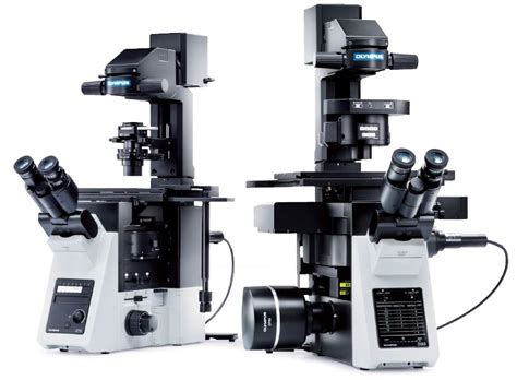 Inverted Olympus Microscopes