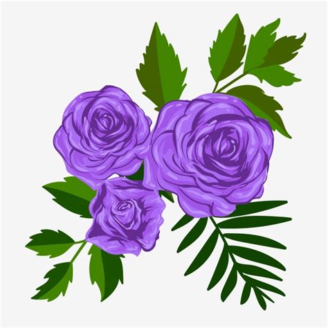 Blooming Purple Rose Flower Vintage Vector Illustration Aloha