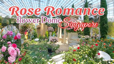 Rose Romance Flower Dome Rose Romance Flowerdome Youtube