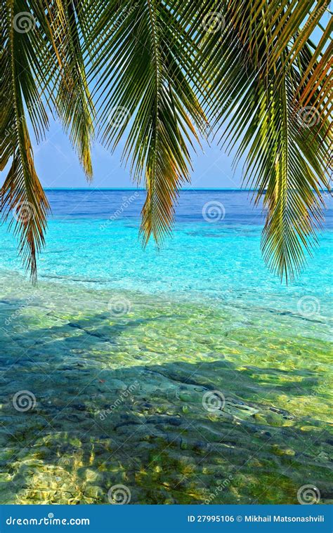 Tropical Seascape Stock Photo Image Of Hawaii Miami 27995106