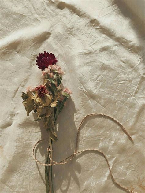 Aesthetic Pict🌃 Flower Aesthetic Vintage Flowers Wallpaper Dried
