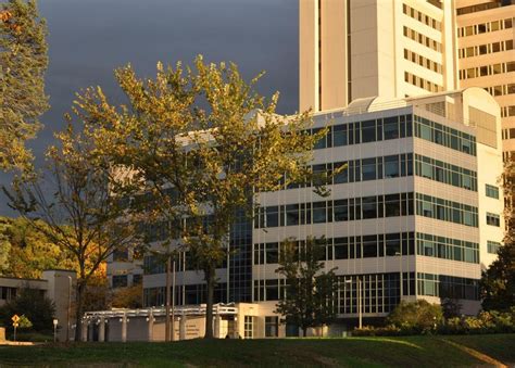 University Of Massachusetts Office Photos