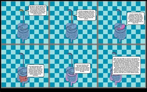 Comic Strip Digestive System Storyboard Por Shauryajain