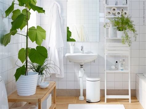 Bathroom Decorating Ideas With Plants Leadersrooms
