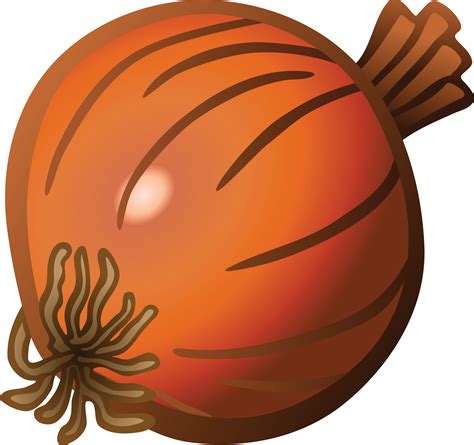 Download Free Clipart Of An onion