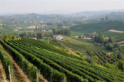 O piemonte é uma região situada no norte da itália, com 4,3 milhões de habitantes e 25,400 quilômetros quadrados, cuja capital é turim. Le colline e i vigneti del Piemonte patrimonio dell'Unesco ...