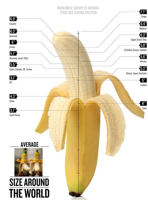 Penis Size Infographic Healthynewage