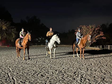 Reader Photo Challenge Rescues Horse Nation