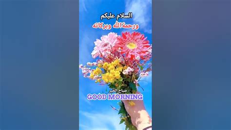 Good Morning صباح الخير Goodmorning Morning Salam Shorts صباحالخير صباح صباحية