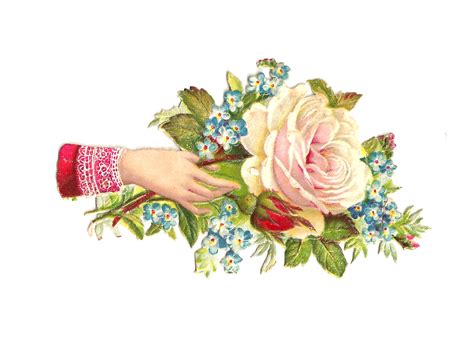 Antique Images Free Rose Clip Art White Rose Victorian Scrap Hand