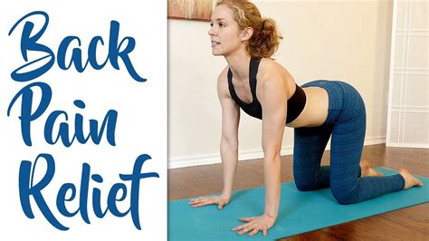 These 10 poses will help strengthen all the right muscles to fix pain at the source. Fast Lower Back Pain & Sciatica Pain Relief - Beginners ...