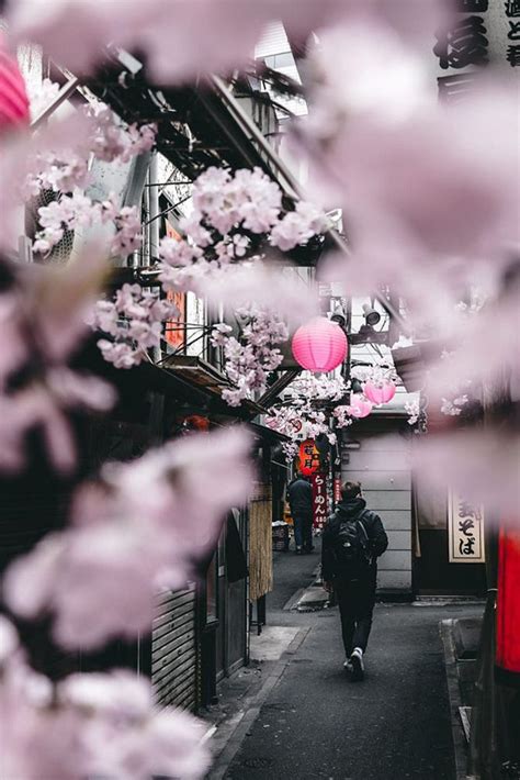The japanese art of impermanence · modern japanese . Tokyo, Japan | Japan photography, Aesthetic japan, Tokyo ...