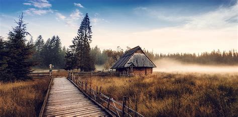 Hd Wallpaper Brown Wooden House Under Trees Cabin Forest Woodland