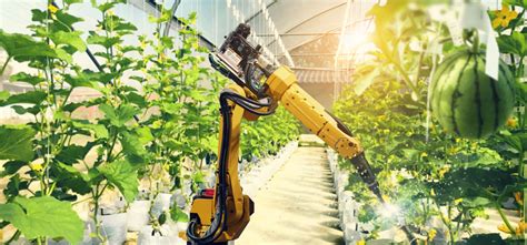 Artificial Intelligence Agtech Robot Working In Greenhouse Agri Investor