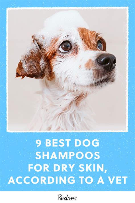 What Can Help Dry Skin On Dogs
