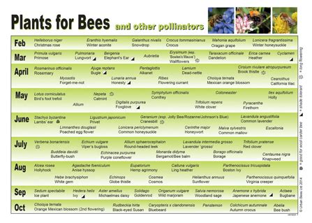 We did not find results for: Plants For Bees